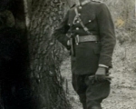 Policjant przy drzewie.jpg
