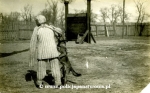 Pies-i-pozorant