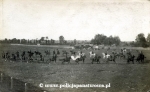 Policja-konna-Krakow-2