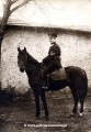 Policjant-na-koniu-foto-Aleksandrow-Kujawski