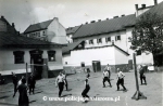 Siatkowka (2).jpg